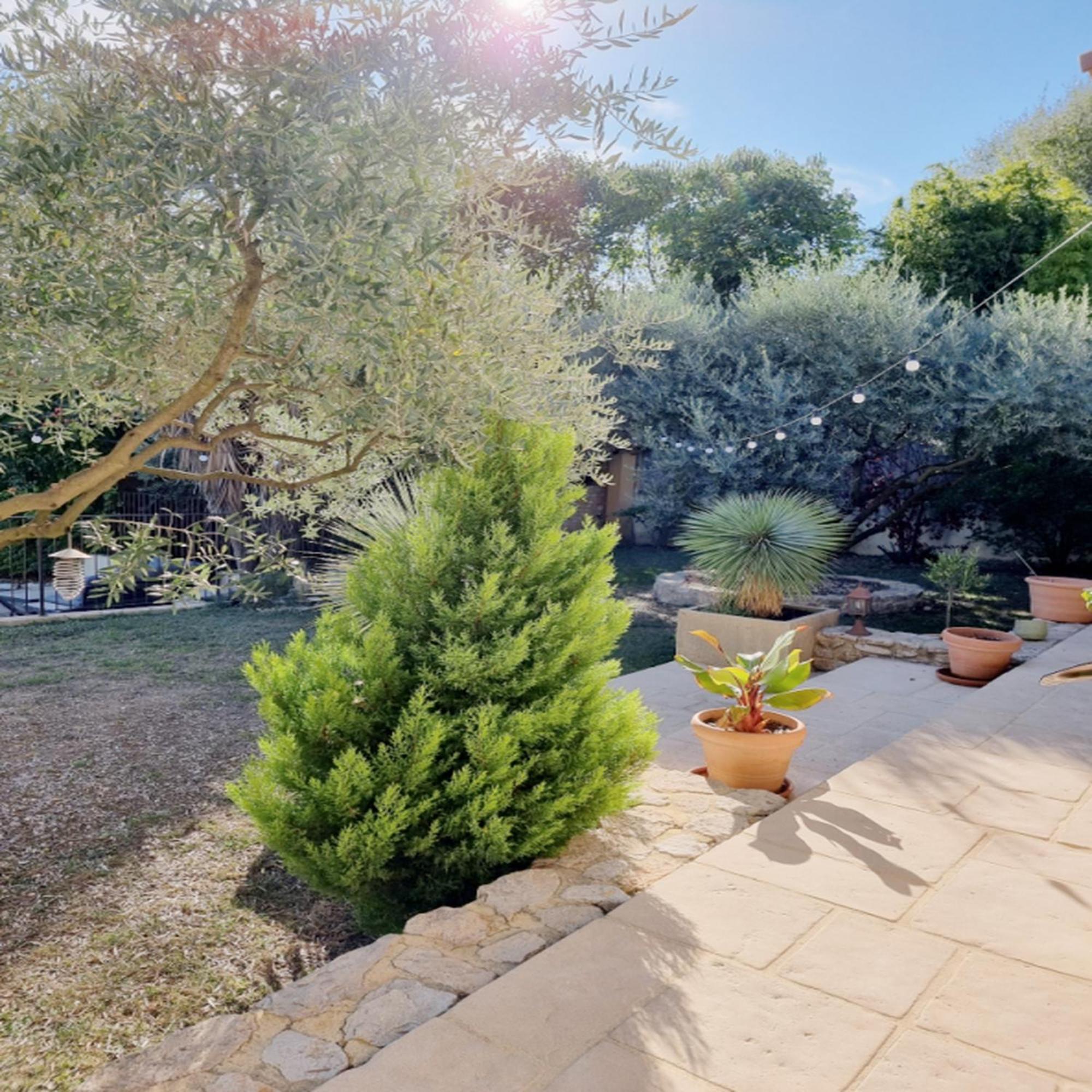 Villa Oasis En Provence Luberon Pierrevert Bagian luar foto